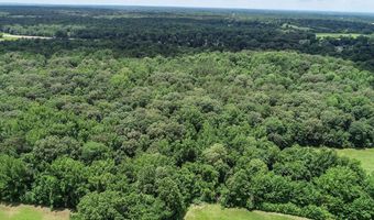 Pine Lodge Road, Batesville, MS 38606