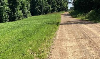 951 County Road 206, Alton, MO 65606