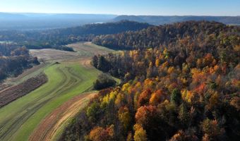 TBD Bear Pen Rd, Arkansaw, WI 54721