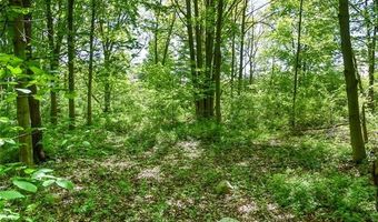 2905 N Lake Pleasant Rd, Arcadia, MI 48412