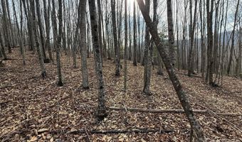 1029 Chippawa Dr 67, Arden, NC 28704