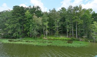 0 GIBSON COVE Dr 3 Acres, Ashville, AL 35953