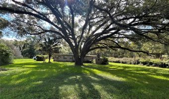 6424 SW 170TH St, Archer, FL 32618