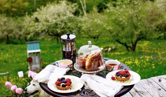 1312 Macintosh Hill Rd, Bethel, VT 05060