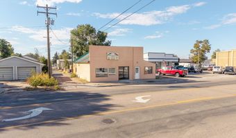 616 Fort Hall Ave, American Falls, ID 83211