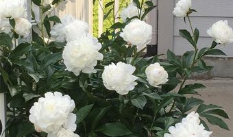 23 Holiday Dr, Arden, NC 28704