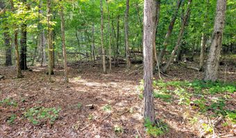 12730 Weatherly Switch Rd, Apison, TN 37302