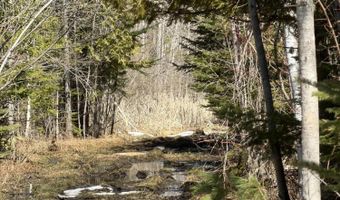 139 AC Witt Rd, Alpena, MI 49707