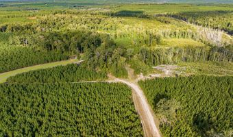 3275 HADDEN POND Rd, Avera, GA 30803