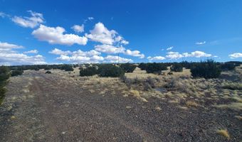 CR 5166, Concho, AZ 85924