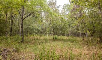229 County Road 314, Alton, MO 65606