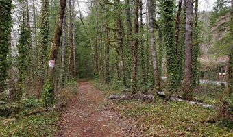 E Barlow Trail Rd, Brightwood, OR 97011