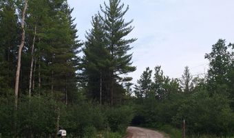 501 Geronimo Rd, Alpena, MI 49707