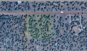 16 And 20 County Road 8092, Concho, AZ 85924