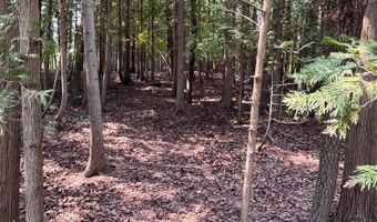 1170 Hanover Rd, Alpena, MI 49707