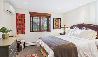 593 Meadowood Dr, Aspen, CO 81611