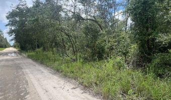 Lot 11 11th Ave, Bell, FL 32619