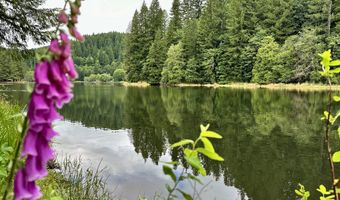 71529 FISHHAWK Rd, Birkenfeld, OR 97016