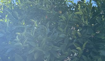 221 MUSSER St, Brookings, OR 97415