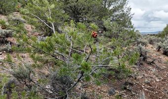 Unk Sandia Canyon Rd, Arroyo Hondo, NM 87513