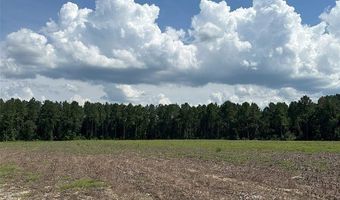 216 County Road 201, Ariton, AL 36010
