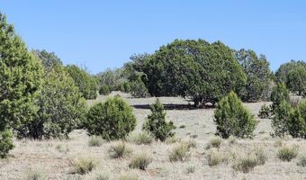 690 Westwood Rnch, Ash Fork, AZ 86320