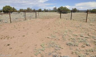19 C & D County Rd N9033, Concho, AZ 85924