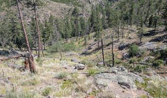 Old Camp Rd, Bellvue, CO 80512