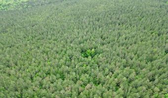 00 County Road 107, Ariton, AL 36311
