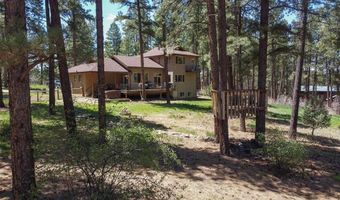386 Wieland Dr, Bayfield, CO 81122