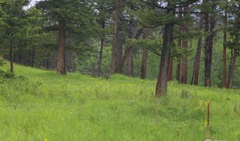 Old Flowers Rd, Bellvue, CO 80512