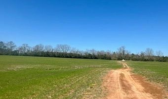 0 Tervin Mill Rd, Andalusia, AL 36421