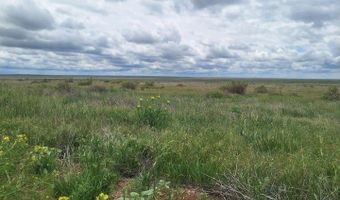 0 Parcel 2 N, Briggsdale, CO 80611