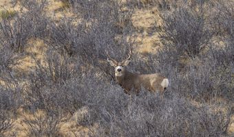 TBD Iron Mountain Rd, Chugwater, WY 82210