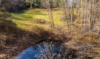 148 VIEWTOWN, Amissville, VA 20106