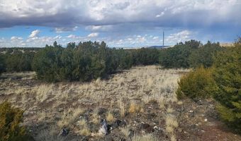 CR 5166, Concho, AZ 85924