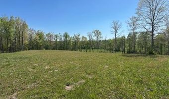 PEAR BLOSSOM Ln lot 10 And 11, Adamsville, TN 38310