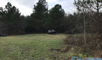 6777 Hwy 207, Anderson, AL 35610