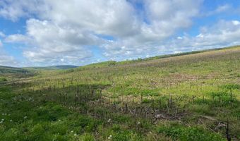 220 DIESEL SCHOOL Rd, Accident, MD 21520