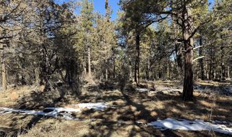 Golden Eagle Drive 30, Bonanza, OR 97623