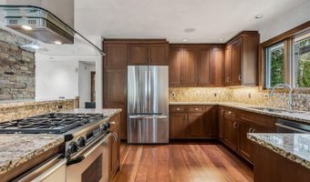 203 Eastwood Dr, Aspen, CO 81611