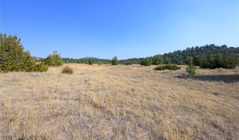 Nhn Trails End Drive, Anaconda, MT 59711