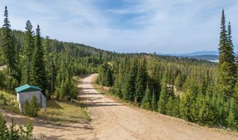 NHN Miners Road, Anaconda, MT 59711