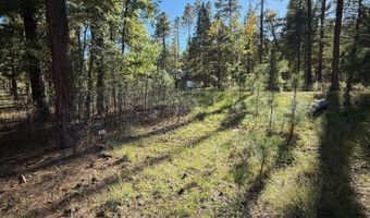 7 2190, Alpine, AZ 85920