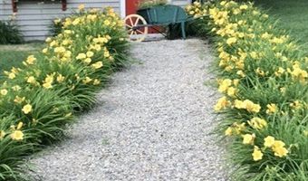 21 Marcia Rd, Wilmington, MA 01887