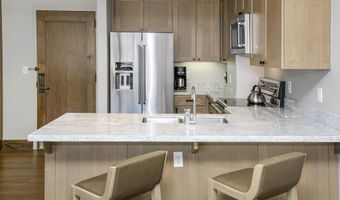 126 Riverfront Ln 307, Avon, CO 81620