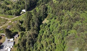 20452 Whaleshead Rd, Brookings, OR 97415