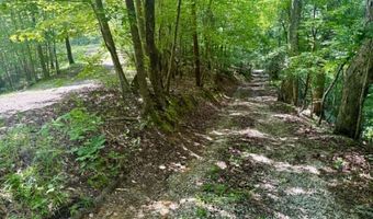 305 NANCY Ln, Adger, AL 35006