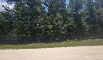 SW 47TH LANE, Bell, FL 32619