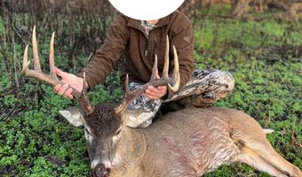 Bolivar Road, Benoit, MS 38725